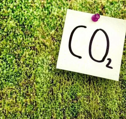 Анализатор углекислого газа – простой способ сделать среду в помещении здоровой