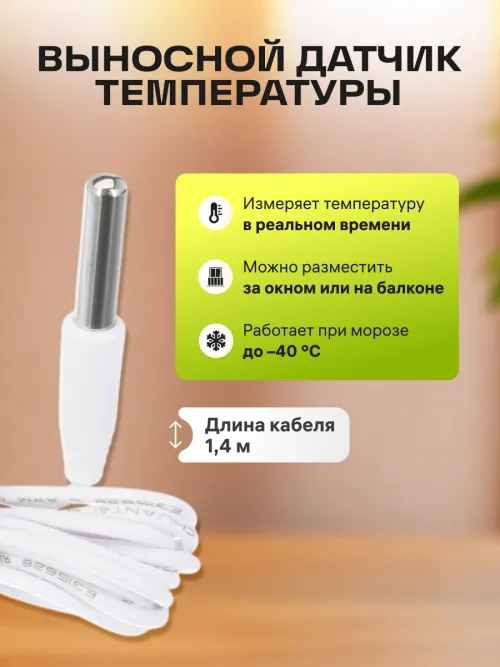 Термогигрометр Ermenrich Report WR10, фото 11