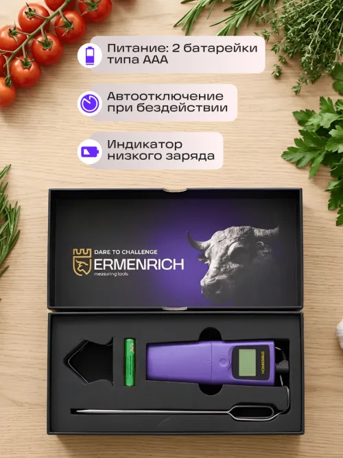 Термометр для мяса Ermenrich BBQ GT20, фото 22